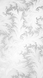 Inteligencia fractal