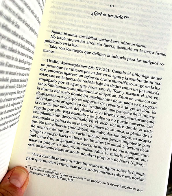 El adulto niño